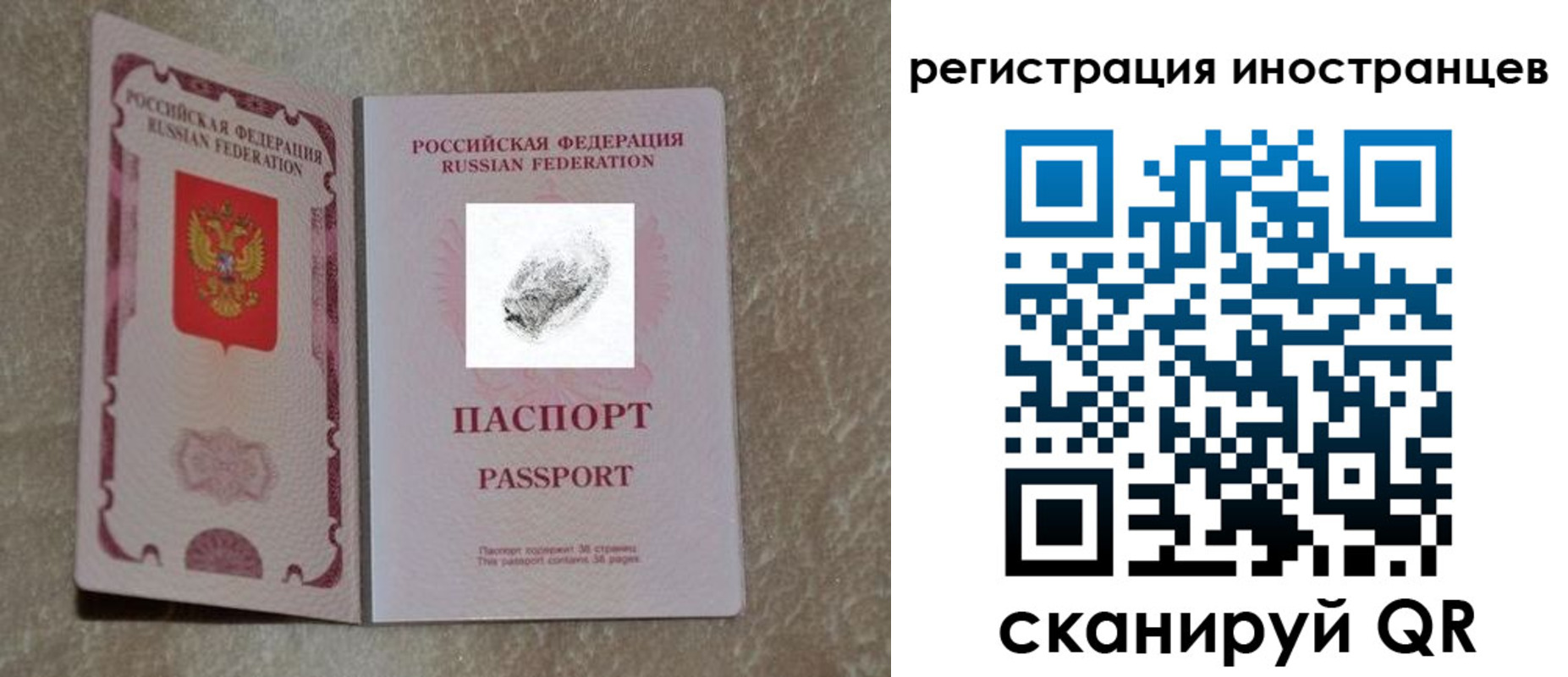 прописка законно в Тамбове
